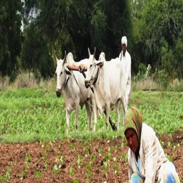 ১. সবার প্রথমে pmkisan.gov.in ওয়েবসাইটে যেতে হবে ৷  ২. ডানদিকে ফার্মার কর্নারে ক্লিক করতে হবে ৷  ৩. এরপর ক্লিক করতে হবে বেনিফিশিয়ারি স্টেটাসে ৷  ৪. এখানে আধার নম্বর, অ্যাকাউন্ট নম্বর বা ফোন নম্বরের অপশন থাকবে ৷  ৫. আধার নম্বর দিয়ে গেট ডেটাতে ক্লিক করতে হবে ৷  ৬. এখানে আপনার সমস্ত তথ্য ও স্টেটাস দেখতে পারবেন ৷