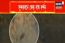 সুন্দরবনে এবার জোড়া বাঘ দর্শন, খুশি পর্যটকরা, দেখুন ভিডিও সুন্দরবনে এবার জোড়া বাঘ দর্শন, খুশি পর্যটকরা, দেখুন ভিডিও