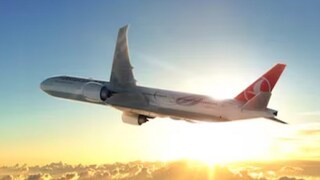 মাঝ আকাশে যাত্রীর কামড়! জরুরি অবতরণে বাধ্য হলেন বিমানচালক