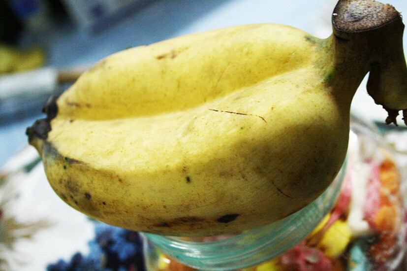 বিজ্ঞান কী বলছে? বিজ্ঞান কিন্তু সাফ বলছে, কলা খাওয়ার সঙ্গে আদৌ যমজ সন্তান হওয়ার কোনও সম্পর্ক নেই। বিষয়টি একেবারেই নিপাট কুসংস্কার ছাড়া কিছুই নয়।