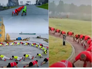 কোমরে যন্ত্রণা কিংবা পিঠের ব্যথায় কাবু? কুমিরের মতো হামাগুড়ি দিলে ব্যথা পালাবে নিমেষে! দাবি চিনা বিশেষজ্ঞদের