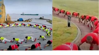 কোমরে যন্ত্রণা কিংবা পিঠের ব্যথায় কাবু? কুমিরের মতো হামাগুড়ি দিলে ব্যথা পালাবে নিমেষে! দাবি চিনা বিশেষজ্ঞদের