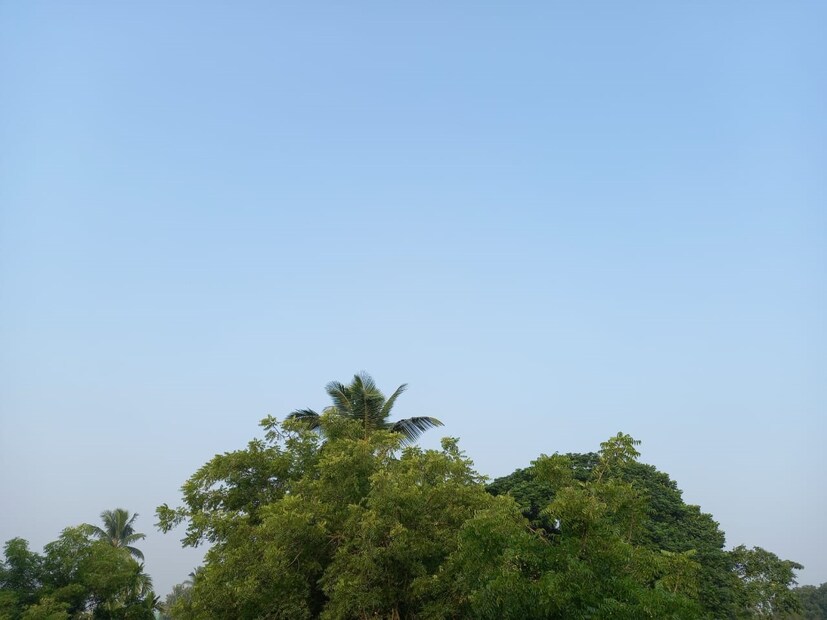 শুষ্ক আবহাওয়ায় ক্রমশ কমবে সর্বনিম্ন তাপমাত্রা। 