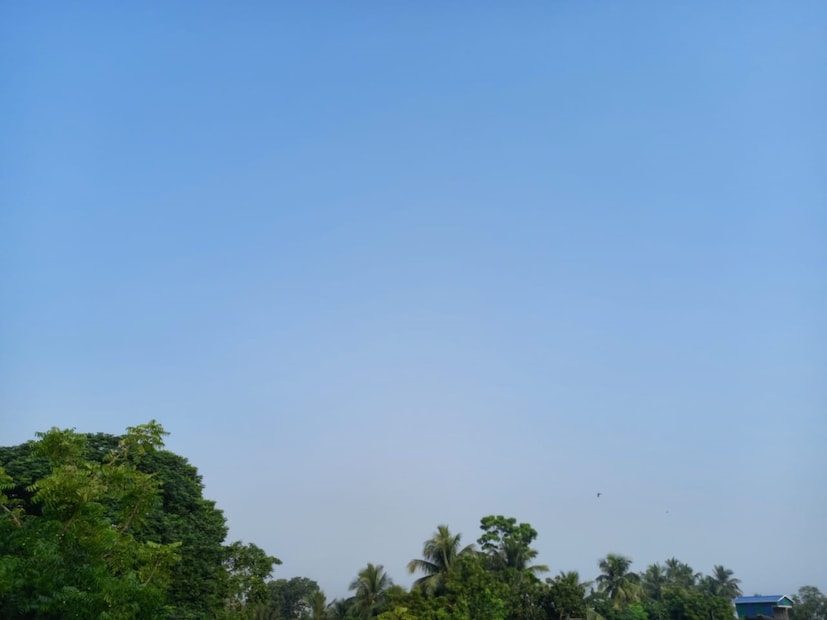 আগামিকাল, শনিবার থেকে রিটার্ন মনসুন বা উত্তর-পূর্ব মৌসুমী বায়ুর প্রভাব দক্ষিণ ভারতের রাজ্যগুলিতে থাকবে। কলকাতায় আজ, শুক্রবার আংশিক মেঘলা আকাশ। খুব সকালে হালকা কুয়াশা এবং শিশির পড়তে পারে। বেলা বাড়লে আবহাওয়ার পরিবর্তন হবে। সকালে মনোরম আবহাওয়া থাকলেও বেলা বাড়লে ওয়েদারের কমফর্ট কমবে। 