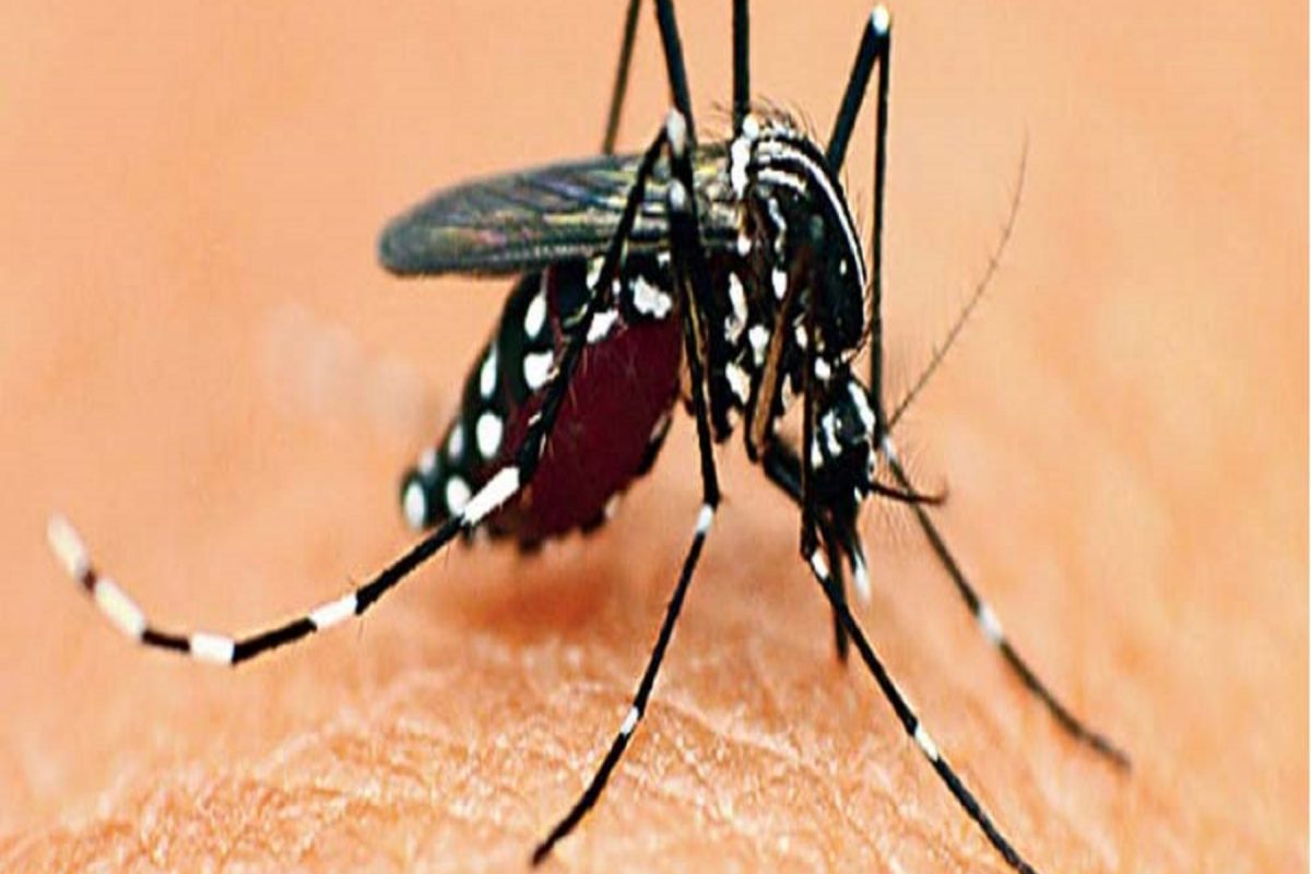 Dengue: শিলিগুড়ি কিছুতেই থামছে না ডেঙ্গির সংক্রমণ, এবার তৃণমূল নেতার মৃত্যু