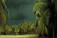 আগামিকাল ঘূর্ণাবর্তর সতর্কতা! দেশের বেশ কয়েকটি রাজ্যে ভারী বৃষ্টিপাতের সতর্কতা