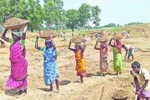 কোনও অনিয়ম নেই, ১০০ দিনের কাজ নিয়ে দাবি রাজ্যের পঞ্চায়েত মন্ত্রীর কোনও অনিয়ম নেই, ১০০ দিনের কাজ নিয়ে দাবি রাজ্যের পঞ্চায়েত মন্ত্রীর