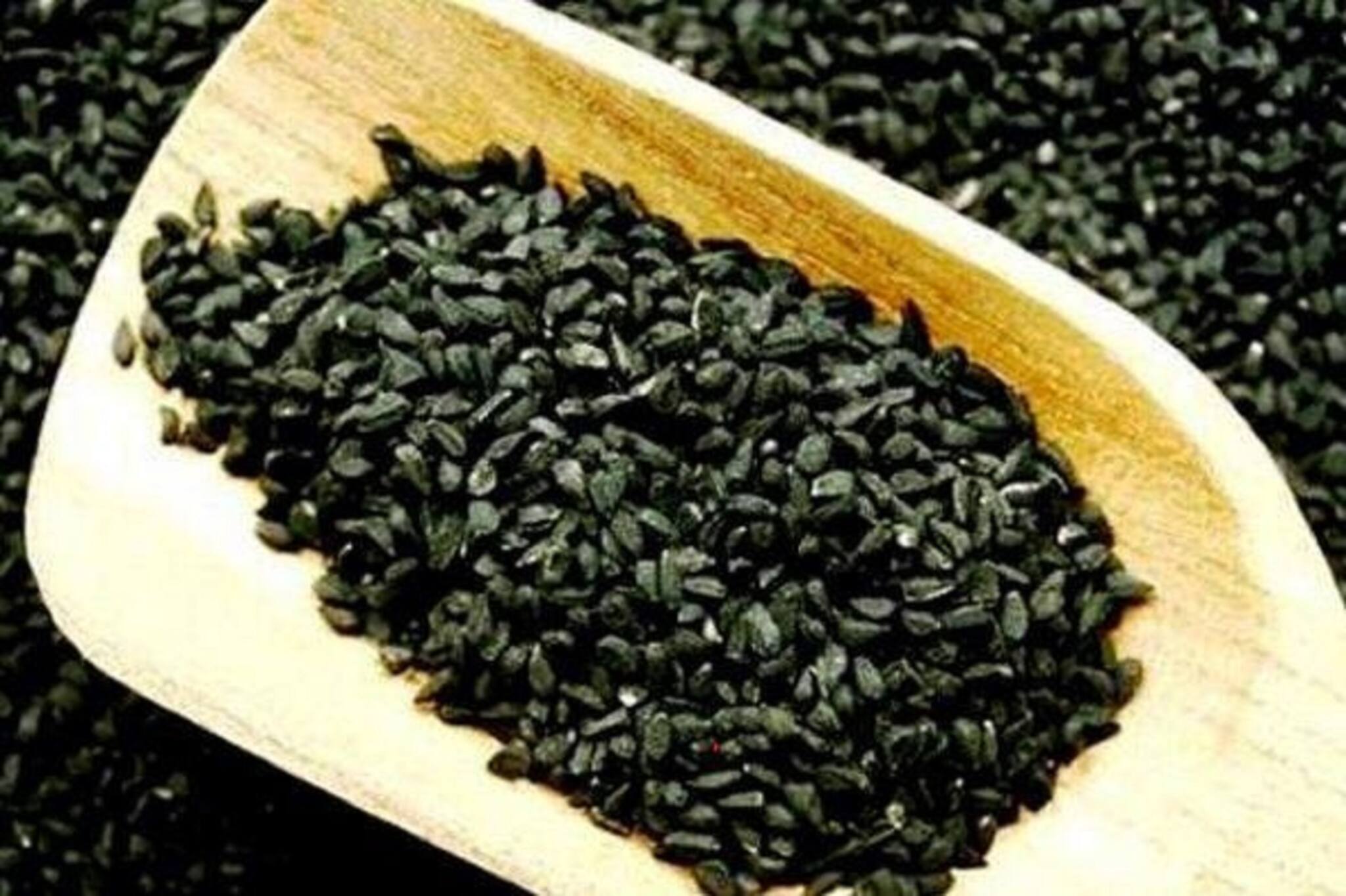 অভাব পিছু ছাড়ছে না? জ্যোতিষশাস্ত্র বলছে কালোজিরেই আপনাকে বড়লোক বানাতে পারে