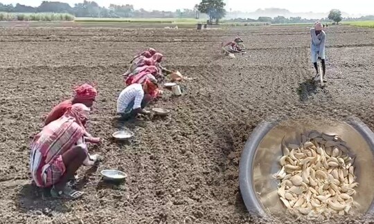 সাগরপাড়ায়