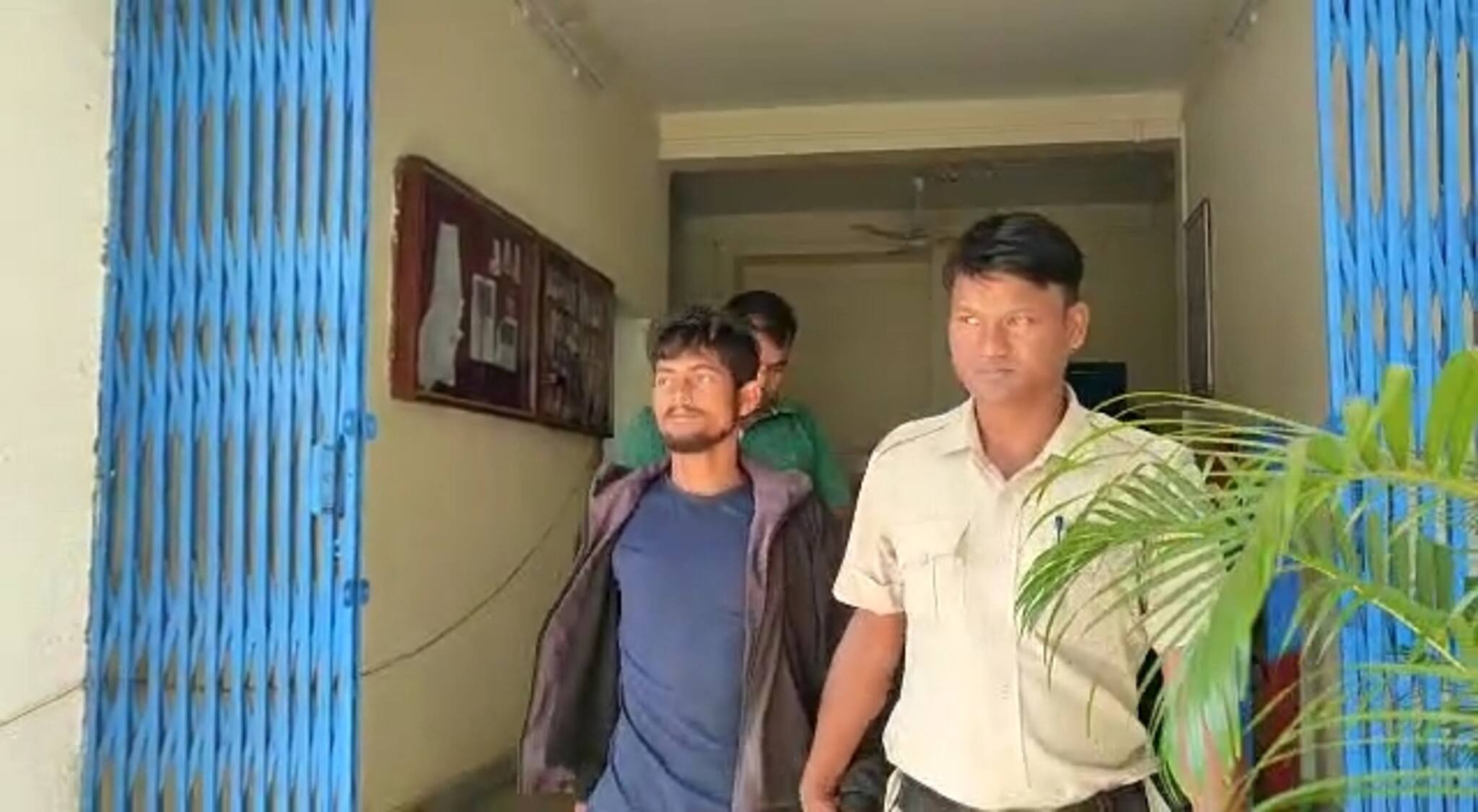 পিক-আপ ভ্যানে ছয়টি গরু! এত কিছুর পরেও থেমে নেই পাচার! জানুন