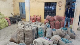 Fake potato seeds in memari