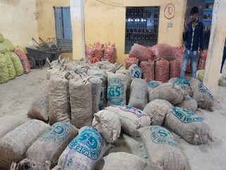 Fake potato seeds in memari