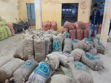 Fake potato seeds in memari