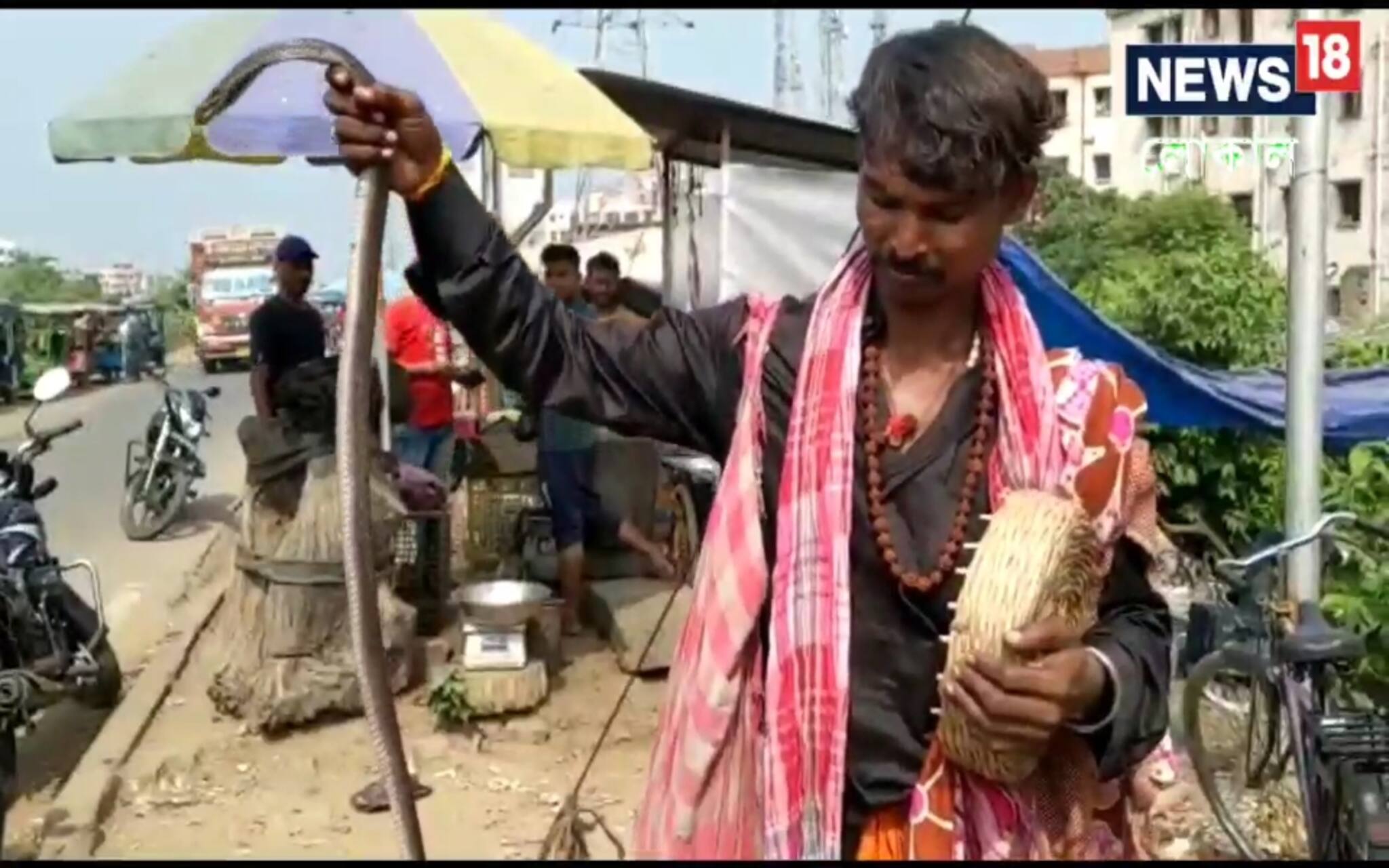 স্থানীয় মানুষদের হাতে জব্দ অসাধু সাপুড়ে