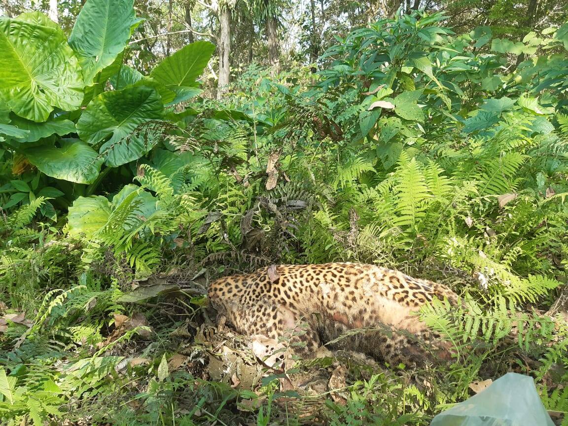 উদ্ধার দেহ