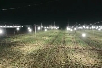 কৃত্রিম
