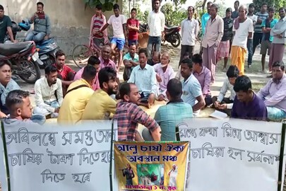 অবস্থান বিক্ষোভ আলু চাষীদের