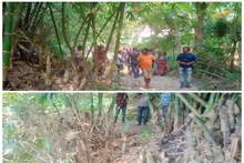 পরিচারিকার কাজ করতে বেরিয়েছিলেন মহিলা, বাঁশ বাগানে মিলল রক্তাক্ত দেহ!