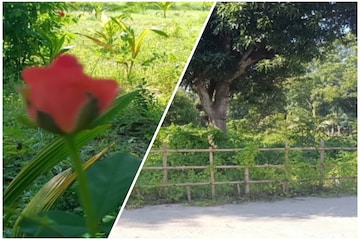 বামুনেরচকের