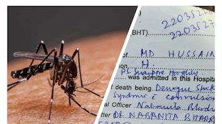 এবার ডেঙ্গু কেড়ে নিল এক নাবালিকার প্রাণ এবার ডেঙ্গু কেড়ে নিল এক নাবালিকার প্রাণ