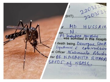 এবার ডেঙ্গু কেড়ে নিল এক নাবালিকার প্রাণ