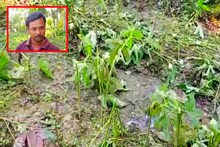 প্রতিবন্ধী চাষীর জমির ফসল নষ্টের অভিযোগ দুষ্কৃতীদের বিরুদ্ধে! তদন্তে পুলিশ
