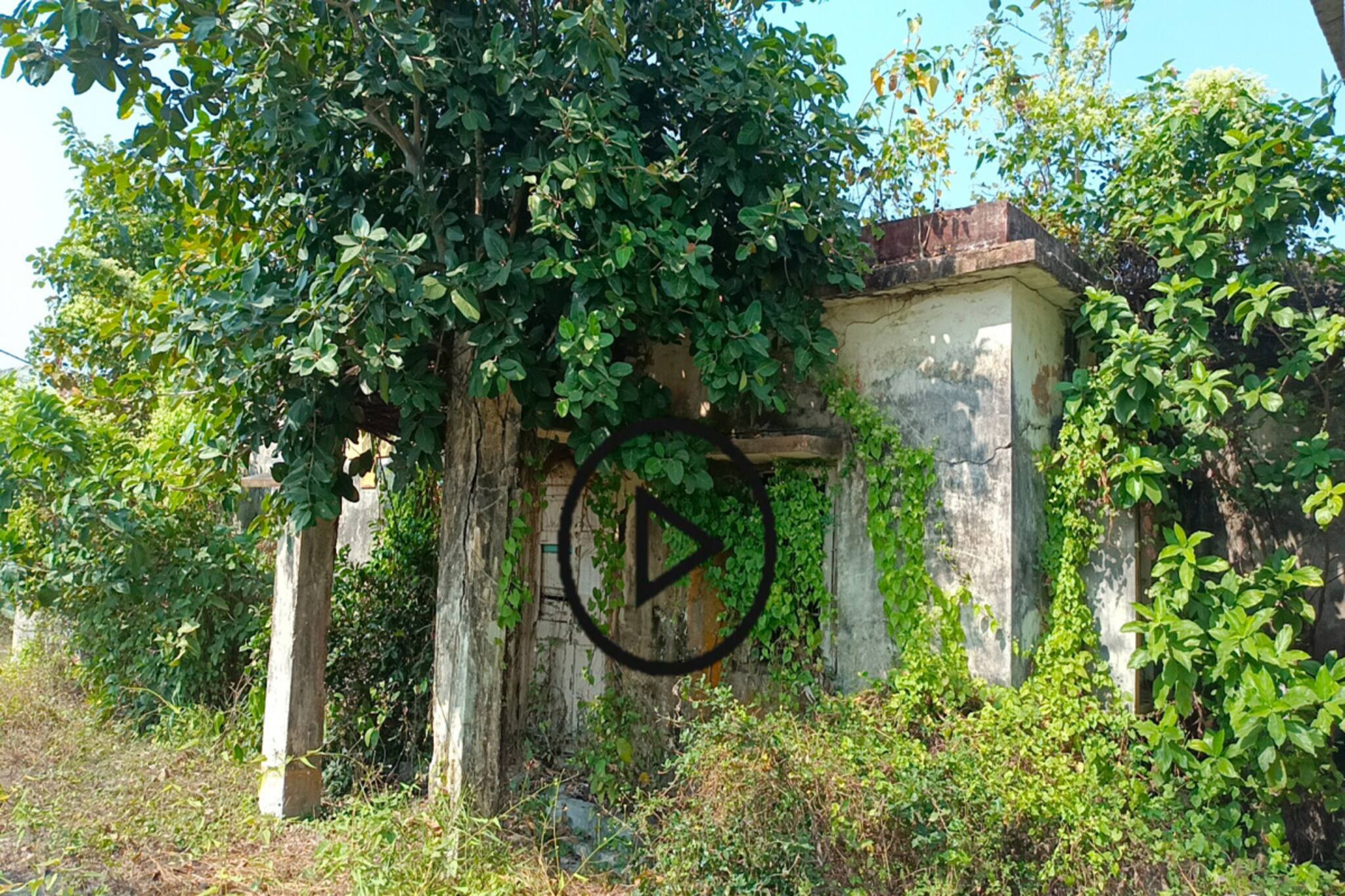 স্বাস্থ্যকেন্দ্র যেন ভূতবাংলো! সন্ধ্যে নামলেই বসে মদের আসর