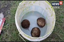 সপ্তাহের শুরুতেই তিনটি তাজা বোমা উদ্ধার বিদ্যালয়ের মাঠে!