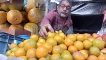 বাজারে ভুয়ো কমলালেবু! কী করে চিনবেন দার্জিলিংয়ের কমলা? ঠকার আগে জানুন বাজারে ভুয়ো কমলালেবু! কী করে চিনবেন দার্জিলিংয়ের কমলা? ঠকার আগে জানুন