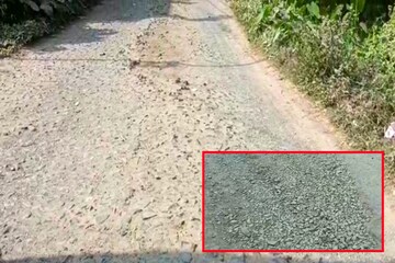 বেহাল