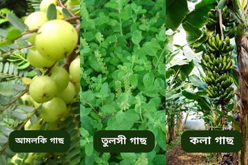কোন দেবতা কোন গাছে থাকেন, এই উদ্ভিদগুলির আরাধনায় আর্থিক সমৃদ্ধি সংসারে শান্তি