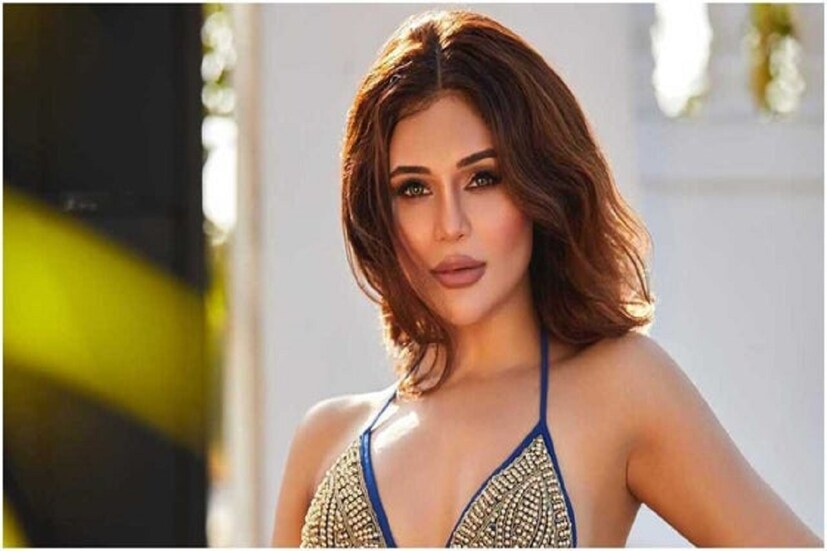 তৃতীয় টি২০ ম্যাচে শূন্য রানে আউট হন কেকেআর অধিনায়ক শ্রেয়াস আইয়ার ৷ ম্যাচের পরেই অশ্বিনী আহির আরও একটি স্টোরি শেয়ার করেন ৷ ফাইল ছবি ৷