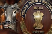 গরু পাচার কাণ্ডে এবার বিরাট পদক্ষেপ সিবিআইয়ের, তলবের তালিকায় দারুণ চমক!