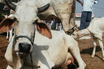 প্রতীকী