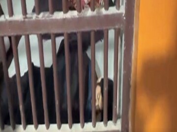 জেলে শ্রদ্ধা খুনে অভিযুক্ত আফতাব৷ 