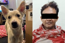 কুকুরকে বেদম মারের ভিডিও ভাইরাল, অবশেষে অভিযুক্তকে ধরল কলকাতা পুলিশ কুকুরকে বেদম মারের ভিডিও ভাইরাল, অবশেষে অভিযুক্তকে ধরল কলকাতা পুলিশ