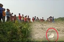 নদীর চরে নিশ্চিন্তে ঘুমোচ্ছে কুমির! কোথা থেকে এল! ভাইরাল ভিডিও নদীর চরে নিশ্চিন্তে ঘুমোচ্ছে কুমির! কোথা থেকে এল! ভাইরাল ভিডিও