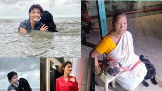 রে ফিরে এলেই দিদির উপর ঝাঁপিয়ে পড়ত তোজো আর বোজো রে ফিরে এলেই দিদির উপর ঝাঁপিয়ে পড়ত তোজো আর বোজো