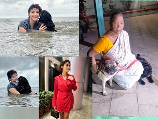রে ফিরে এলেই দিদির উপর ঝাঁপিয়ে পড়ত তোজো আর বোজো