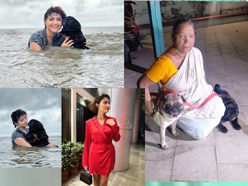 রে ফিরে এলেই দিদির উপর ঝাঁপিয়ে পড়ত তোজো আর বোজো
