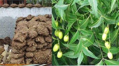 প্রতীকী ছবি প্রতীকী ছবি