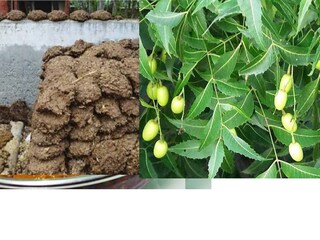 প্রতীকী ছবি