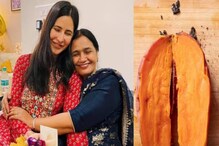 আদরের পুত্রবধূ কিট্টুকে এই সব্জি রেঁধে খাওয়ান ভিকি কৌশলের মা, জানুন এর গুণাগুণ আদরের পুত্রবধূ কিট্টুকে এই সব্জি রেঁধে খাওয়ান ভিকি কৌশলের মা, জানুন এর গুণাগুণ