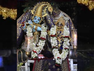 নদিয়ার শান্তিপুর ও নবদ্বীপ রাস উৎসবের মাতোয়ারা