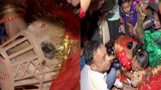 শেরু এবং সুইটির বিয়ে উপলক্ষে নিমন্ত্রণ খেলেন একশো জন অতিথি (ছবি-নেট মাধ্যম) শেরু এবং সুইটির বিয়ে উপলক্ষে নিমন্ত্রণ খেলেন একশো জন অতিথি (ছবি-নেট মাধ্যম)