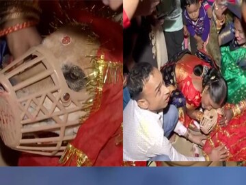 শেরু এবং সুইটির বিয়ে উপলক্ষে নিমন্ত্রণ খেলেন একশো জন অতিথি (ছবি-নেট মাধ্যম)