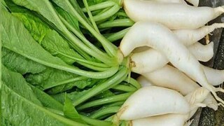 শরীরের জন্য খুবই উপকারী