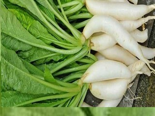 শরীরের জন্য খুবই উপকারী