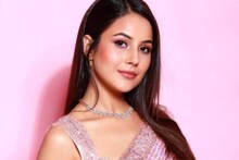 'স্বপ্ন তা হলে সত্যি হয়', জীবনের নতুন অধ্যায় শুরু করে আপ্লুত শেহনাজ