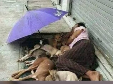 তাঁর এই মানবিক আচরণ মন জয় করেছে নেটিজেনদের